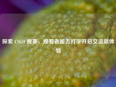 探索 CSGO 观赛，观看者能否打字开启交流新体验