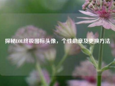 探秘LOL终极图标头像，个性勋章及更换方法