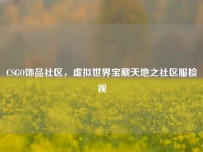 CSGO饰品社区，虚拟世界宝藏天地之社区服检视