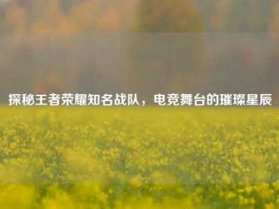 探秘王者荣耀知名战队，电竞舞台的璀璨星辰