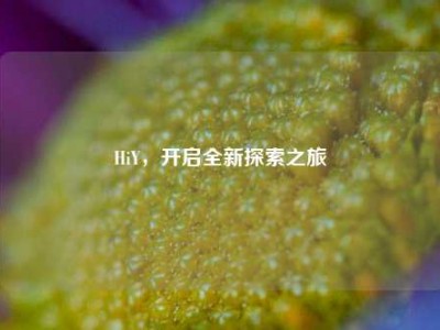 HiY，开启全新探索之旅