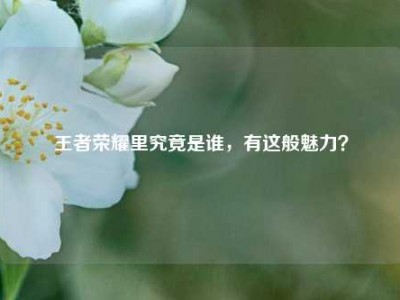 王者荣耀里究竟是谁，有这般魅力？