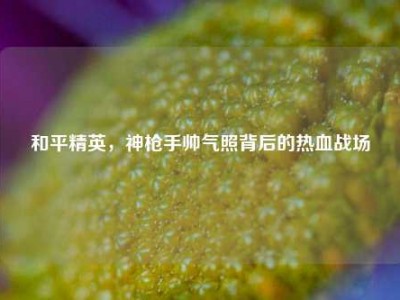 和平精英，神枪手帅气照背后的热血战场