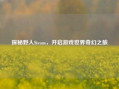 探秘野人Steam，开启游戏世界奇幻之旅