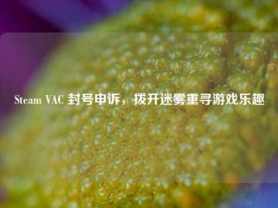Steam VAC 封号申诉，拨开迷雾重寻游戏乐趣