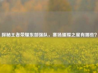 探秘王者荣耀东部强队，赛场璀璨之星有哪些？