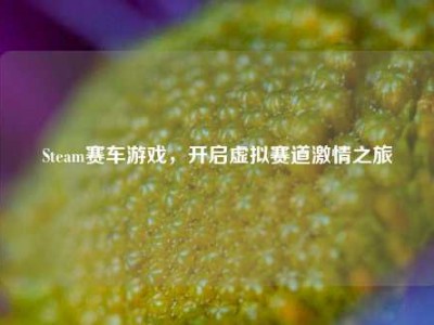 Steam赛车游戏，开启虚拟赛道激情之旅
