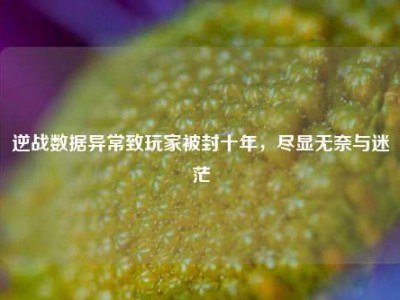 逆战数据异常致玩家被封十年，尽显无奈与迷茫