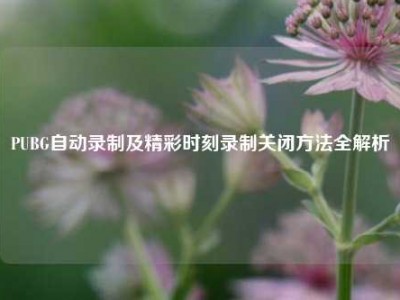 PUBG自动录制及精彩时刻录制关闭方法全解析