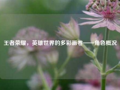 王者荣耀，英雄世界的多彩画卷——角色概况