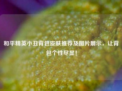 和平精英小丑背包皮肤推荐及图片展示，让背包个性尽显！