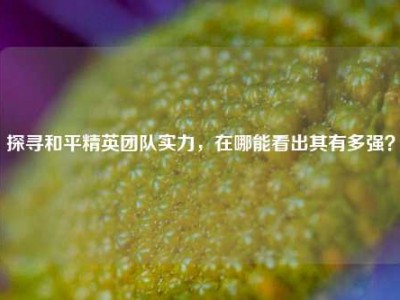 探寻和平精英团队实力，在哪能看出其有多强？