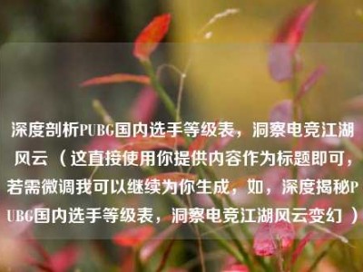 深度剖析PUBG国内选手等级表，洞察电竞江湖风云 （这直接使用你提供内容作为标题即可，若需微调我可以继续为你生成，如，深度揭秘PUBG国内选手等级表，洞察电竞江湖风云变幻 ）