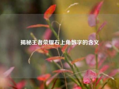 揭秘王者荣耀右上角数字的含义