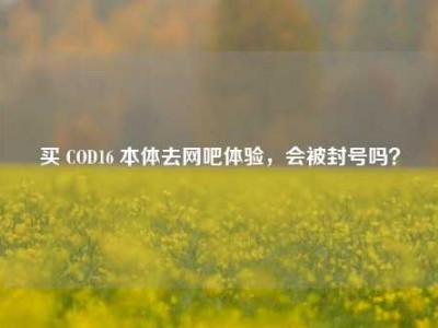买 COD16 本体去网吧体验，会被封号吗？