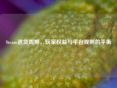 Steam退货周期，玩家权益与平台规则的平衡