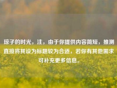 琼子的时光，注，由于你提供内容简短，推测直接将其设为标题较为合适，若你有其他需求可补充更多信息。