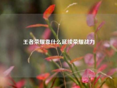 王者荣耀靠什么延续荣耀战力