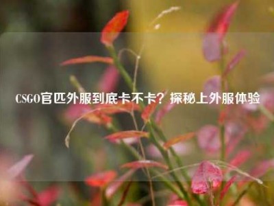 CSGO官匹外服到底卡不卡？探秘上外服体验