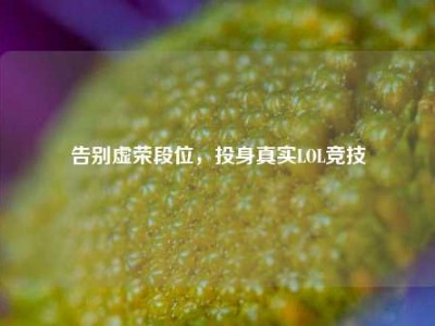 告别虚荣段位，投身真实LOL竞技