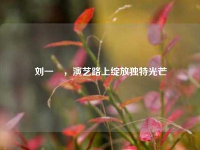 刘一曈，演艺路上绽放独特光芒