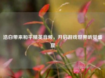浩白带来和平精英音频，开启游戏世界听觉盛宴