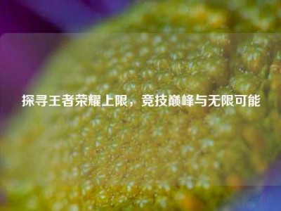 探寻王者荣耀上限，竞技巅峰与无限可能
