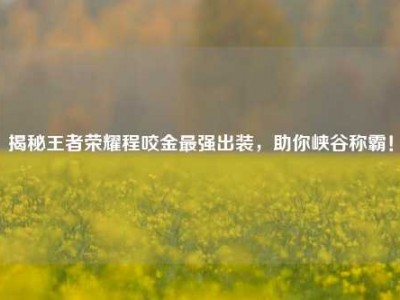 揭秘王者荣耀程咬金最强出装，助你峡谷称霸！