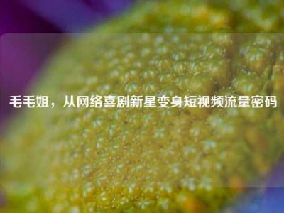 毛毛姐，从网络喜剧新星变身短视频流量密码
