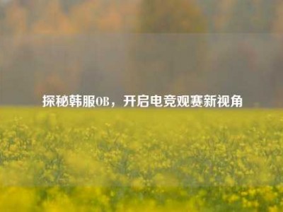 探秘韩服OB，开启电竞观赛新视角