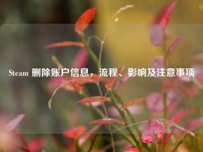 Steam 删除账户信息，流程、影响及注意事项