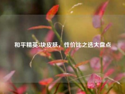 和平精英5块皮肤，性价比之选大盘点