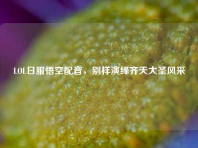 LOL日服悟空配音，别样演绎齐天大圣风采