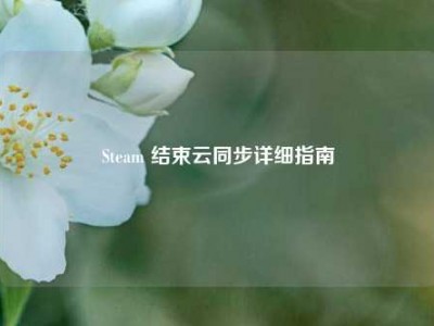 Steam 结束云同步详细指南