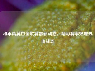 和平精英白金联赛最新动态，精彩赛事燃爆热血战场