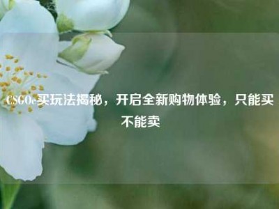 CSGOe买玩法揭秘，开启全新购物体验，只能买不能卖