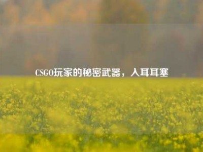 CSGO玩家的秘密武器，入耳耳塞