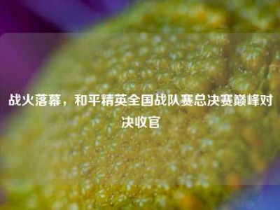 战火落幕，和平精英全国战队赛总决赛巅峰对决收官