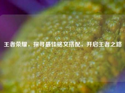 王者荣耀，探寻最佳铭文搭配，开启王者之路