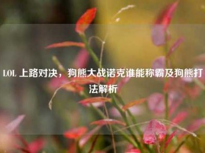 LOL 上路对决，狗熊大战诺克谁能称霸及狗熊打法解析