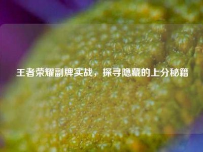 王者荣耀副牌实战，探寻隐藏的上分秘籍