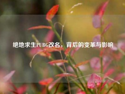 绝地求生PUBG改名，背后的变革与影响
