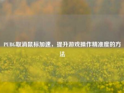 PUBG取消鼠标加速，提升游戏操作精准度的方法