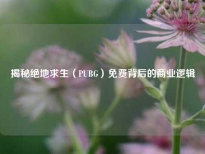 揭秘绝地求生（PUBG）免费背后的商业逻辑