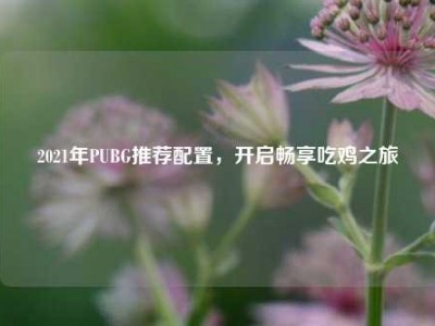 2021年PUBG推荐配置，开启畅享吃鸡之旅