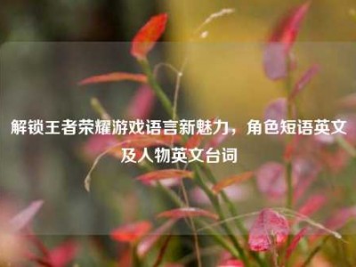 解锁王者荣耀游戏语言新魅力，角色短语英文及人物英文台词