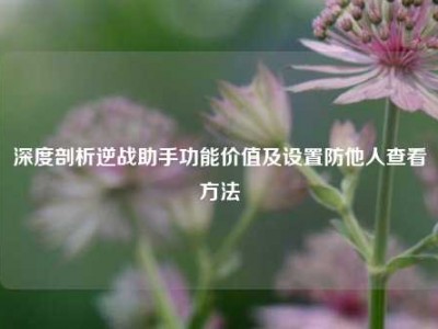深度剖析逆战助手功能价值及设置防他人查看方法
