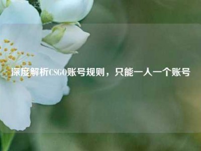 深度解析CSGO账号规则，只能一人一个账号
