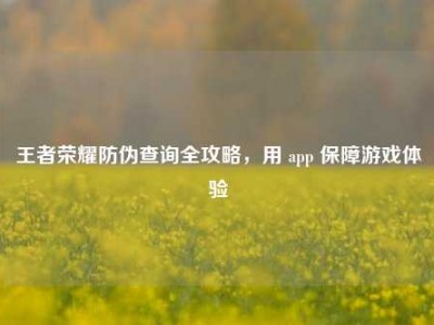 王者荣耀防伪查询全攻略，用 app 保障游戏体验