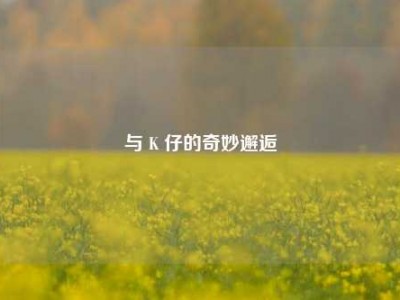 与 K 仔的奇妙邂逅